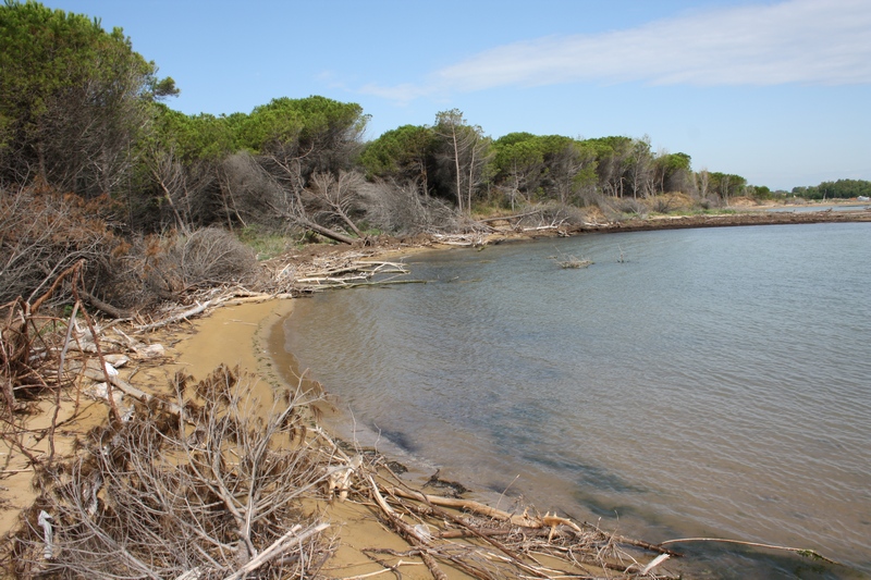 Il faro di Bibione e la foce del tagliamento